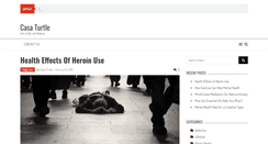 Desktop Screenshot of casaturtle.com